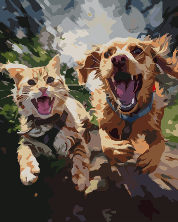 Running Cat and Dog - Made to Order Paint by Numbers