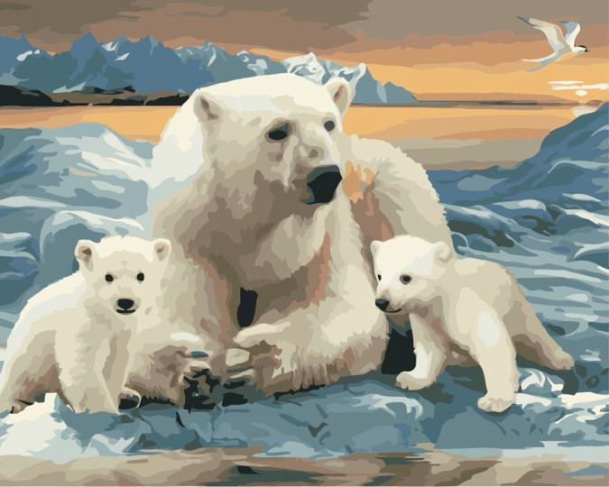 polar bear family