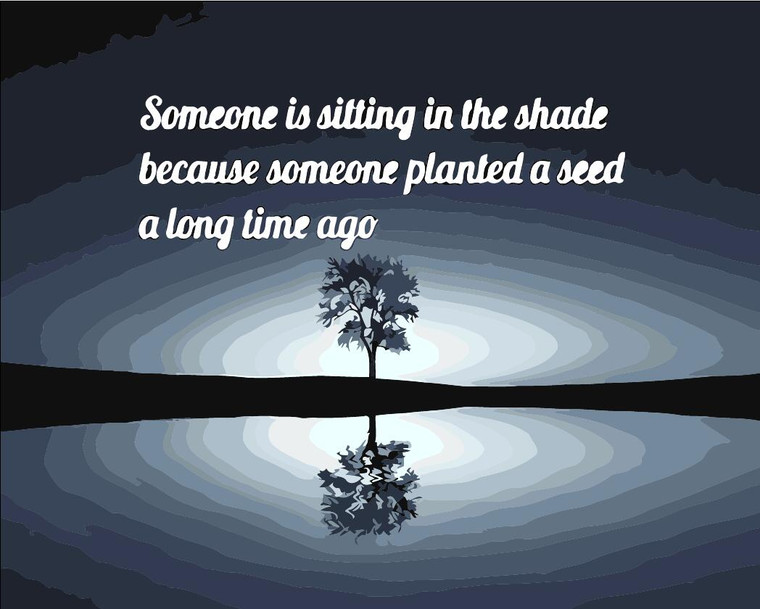 Someone is Sitting in the Shade Because Someone Planted a Seed a Long Time Ago