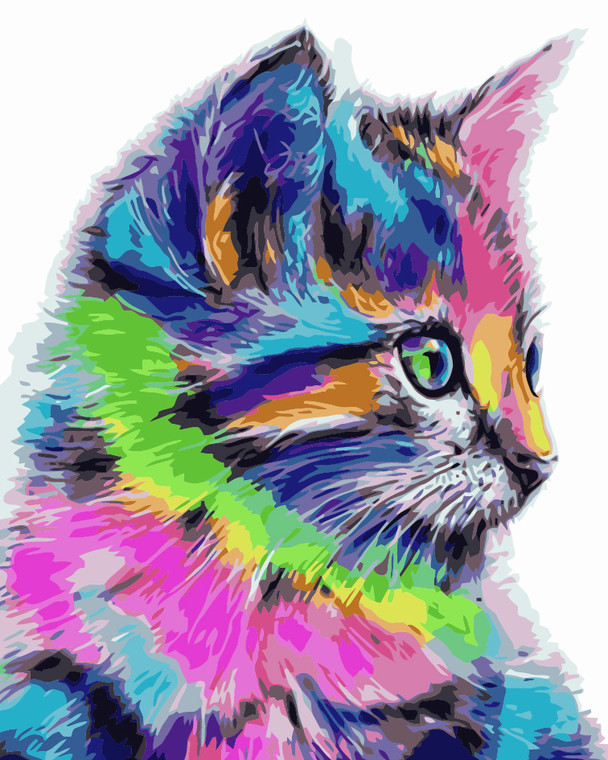 Colourful Kitten