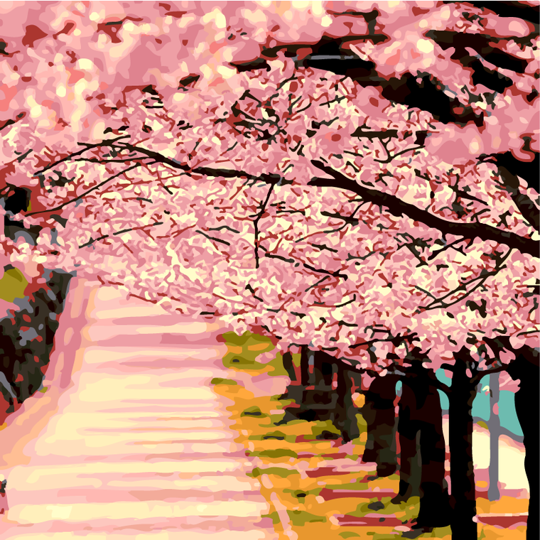 Cherry Blossom Park