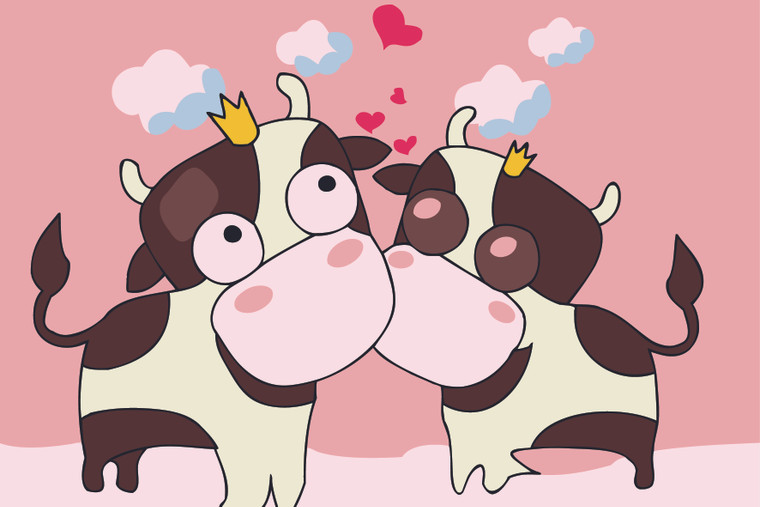 Two Cows in Love