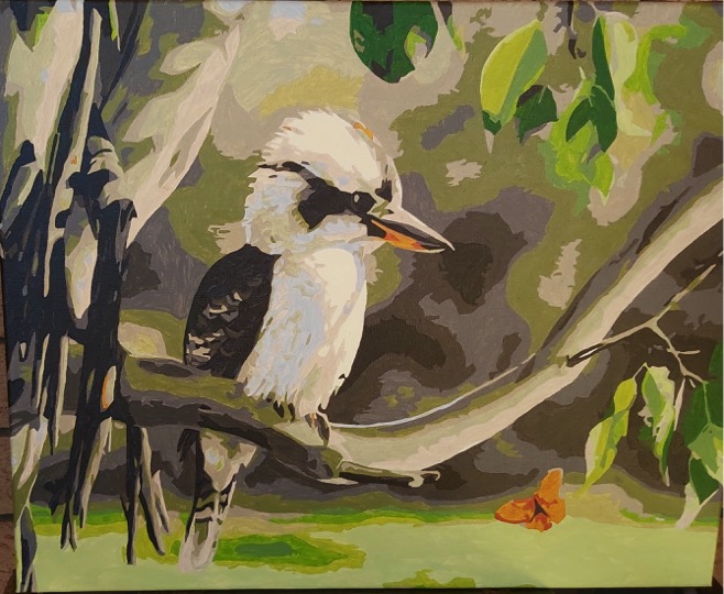 Paint by Numbers - Aussie Kookaburra by Joan M