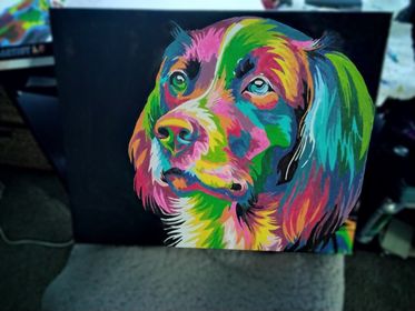 Paint by Numbers - Colourful Dog by June Lord