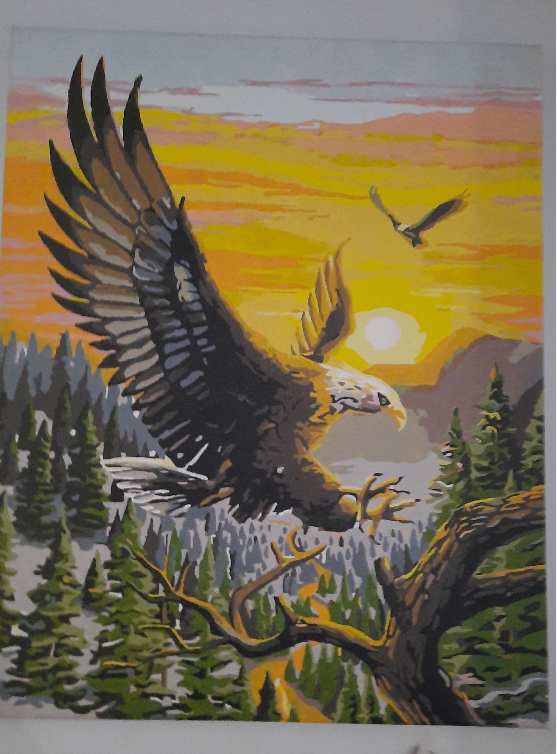 Paint by Numbers - Eagle by Deb Kilby