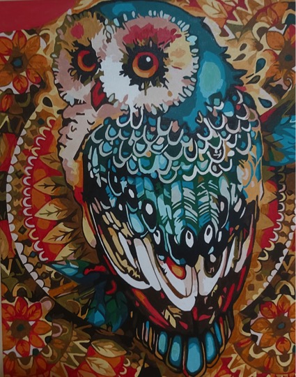 Paint by Numbers - Mandala Owl by Joan Monaghan