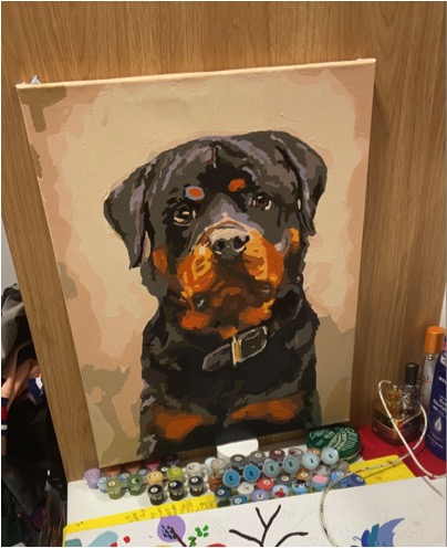 Paint by Numbers - Rottweiler by Olivia Markham