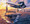 Warship and Planes
