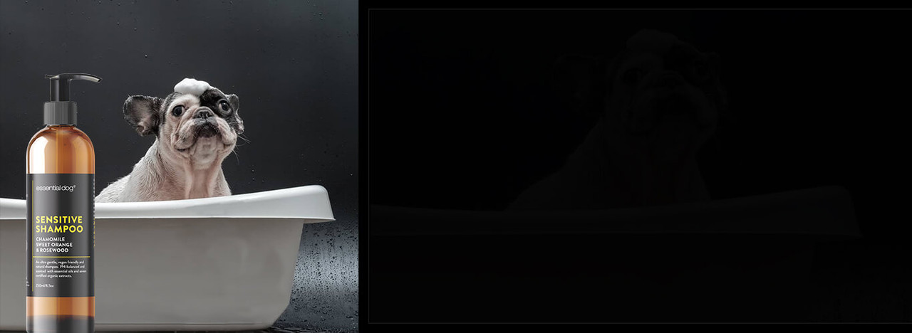 essential dog shampoo