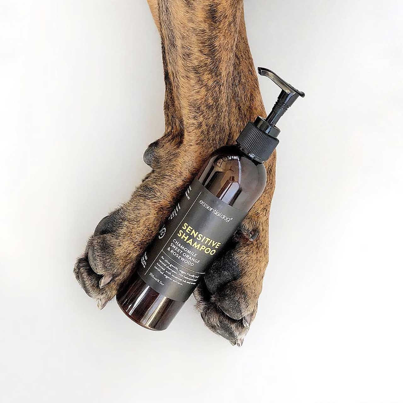 Sensitive Dog Shampoo Chamomile, Sweet Orange & Rosewood
