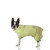 DOG bathrobe bamboo poncho