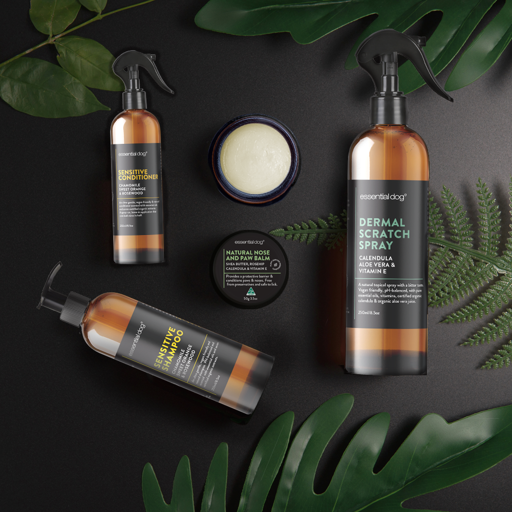 Finding The Best Dog Shampoo & Skincare for Sensitive Skin Essential Dog