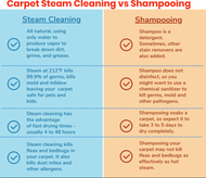 What is the difference between a carpet deep cleaner and a steam cleaner?