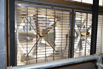 72" Mega Torque's installed in a Dairy Farm.  Interior View.  