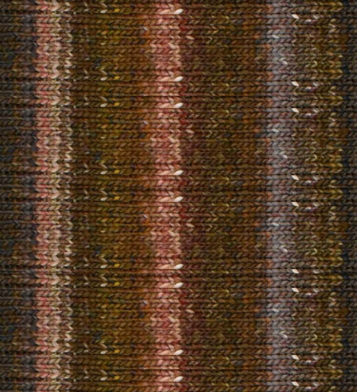 Viola-32-isahaya__05283.