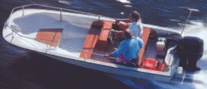 Carver Covers - Wsb13 W/bow Rail Alw Boat Cvr - 71613S11