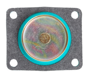 Brp - Diaphragm Assembly, 30cc (3854257)