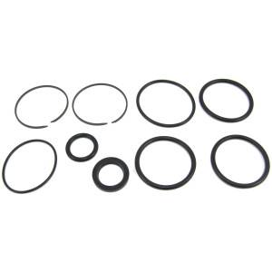 Brp - Seal Kit, Trim And Tilt (985060)