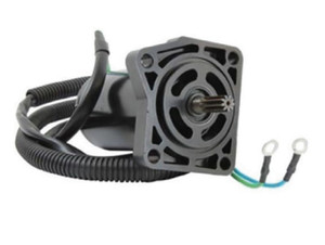 Emp - Trim Motor (300-55546)
