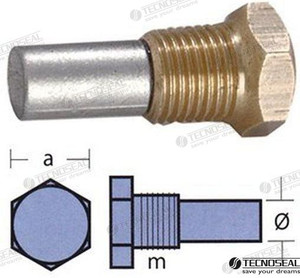 Recmar - Anode Bukh W/tap (ten02053t)
