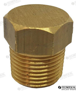 Recmar - Plug Brass For Anode Onan (ten02031tp)