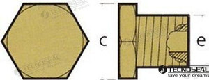 Recmar - Tap Anode Cooling Aifo (ten02012tp)