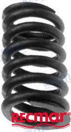 Recmar - Valve Spring (rec418737)