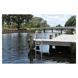 Patriot Steel Mfg - Dock Lift Ladder - PSLL5