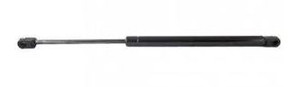 Dexter Group - 20' Door Strut - 3620-01