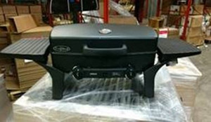 Fleming Sale - Counter Mdse Phone Lanyard 25 Pc - GFM25