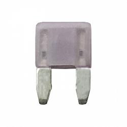 Wirthco - Min Blade Fuse-3 Amp - 24103-50