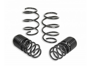 Eibach - 1822 Accord Sedan 0.8 In 0.8 In Prokit Lowering Spring Kit Diamond Black - E10-40-038-01-22