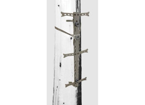 Hawk Outdoors - Helium 30in Climbing Sticks (3 Pack) - HWK-HC2086-3