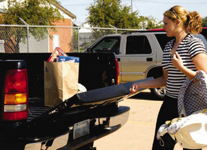 Hopkins - Easylift Tailgate Lift - EASYLIFT