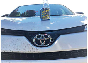 RV BOSS - (box Of 12) Bug + Tar Remover (995ml) - 1791