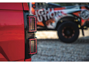 Morimoto Lighting - 18c F150 N/a Nonled / Nonblis / 18c Adapter Harness Xb Tail Lights - LF434