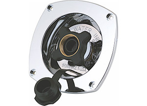 Pentair Shurflo - 65 Psi Internal Check Valve Chrome Finish - 183-029-14