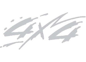 Trim-Line Design - Stripe 4x4 Silver - RT81864