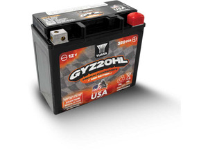 Yuasa Battery - Gyz20hl 12v High Performance Factory Activated Agm Battery (w/built In Brass Nu) - M720GH