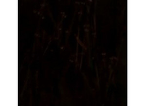 Sherman Parts - Lh Outer Bumper Brkt Sierra 0307 - 901-84NL