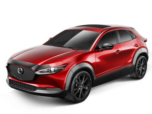 Husky Liner - 25c Mazda Cx30 Aeroskin Smoke - 2842248