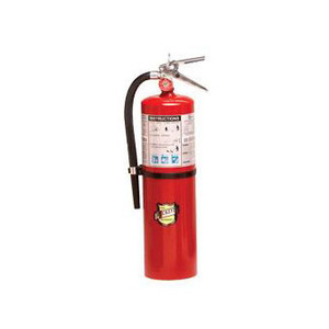 Buckeye Fire - 10 Lb. Abc - 11340