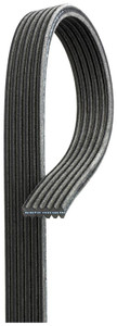 Gates - V-ribbed Belt - DK060472