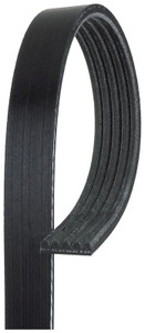 Gates - V-ribbed Belt - K050404