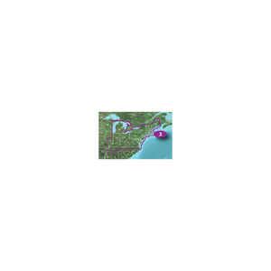 Vision Card, New York-Chesapeake - 010-C1004-00