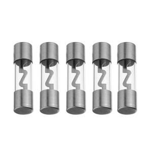 Agu Fuses 100amp 5pk Platinum Xscorpion - AGU100P