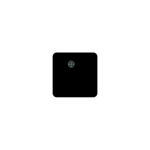 Furrion 2021124010 Retrofit Door Replacement for Tankless RV Water Heating System, Black, 16.14" x 16.14" - 2021124010