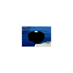 Taylor Acrylic Dock Wheel Covers, 12" Black - 2020108412