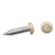 AP Products 012-PSQ50 8 X 1- 1/4 Pan Head Square Recess Screw, Pack of 50 - 1-1/4", Colonial White - 012-PSQ50 CO 8 X 1- 1/4