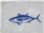 Taylor - Flag Tuna 12x18 - 3118